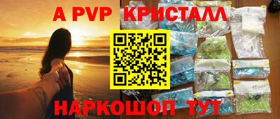 стаф Малгобек