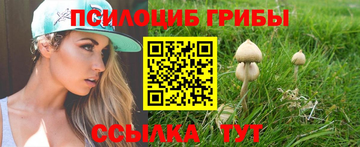 Чебоксары  Псилоцибиновые грибы прущие грибы  Вход с VPN 